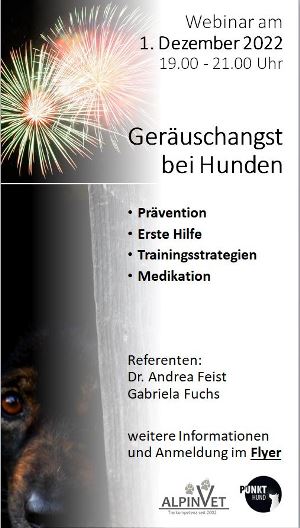 Plakat Geräuschangst 300