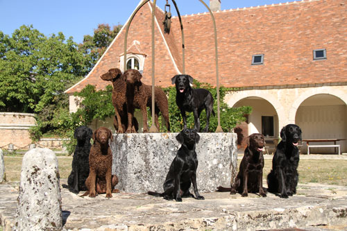 Schloss Gruppe